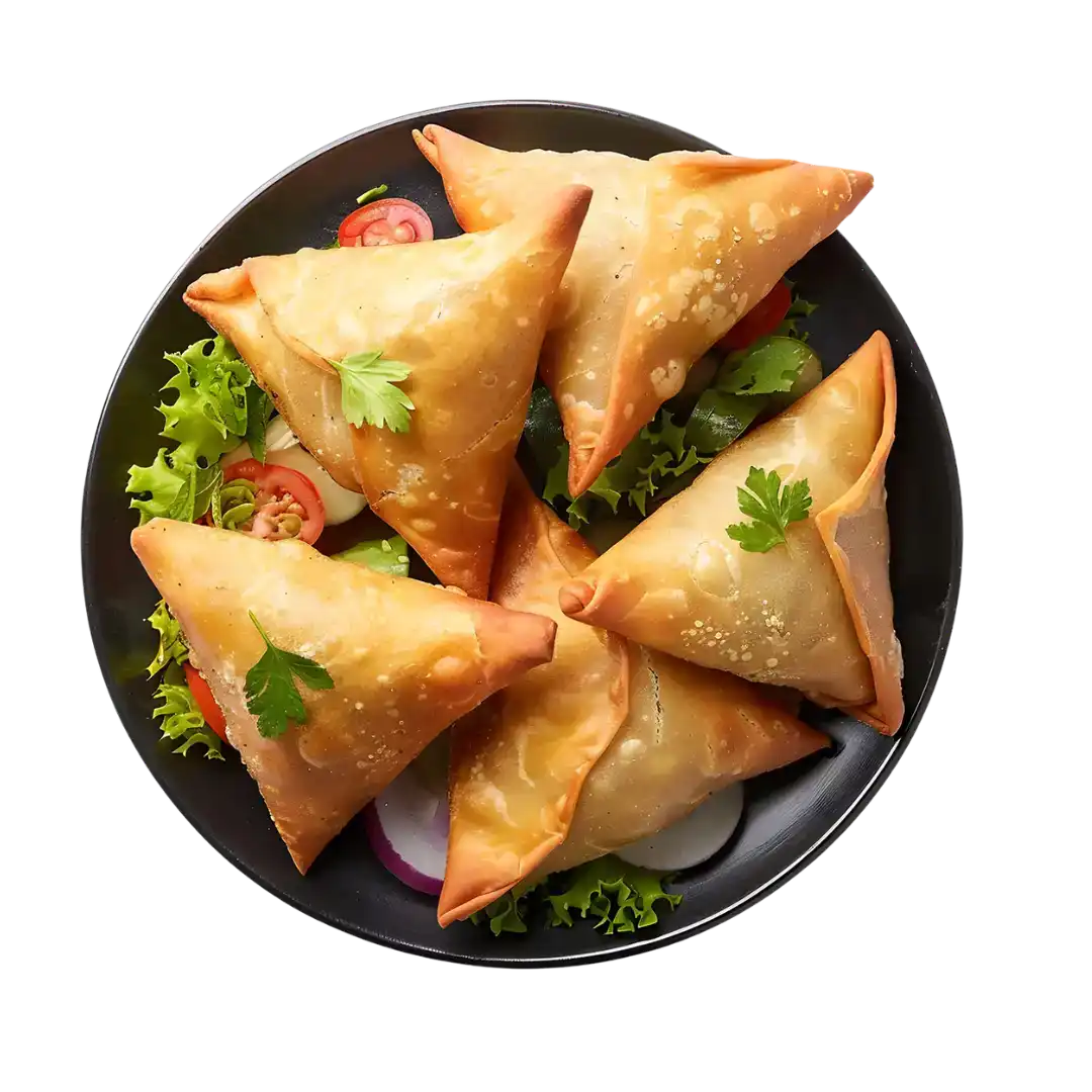 Onion Samosa at Bagara & Biryani