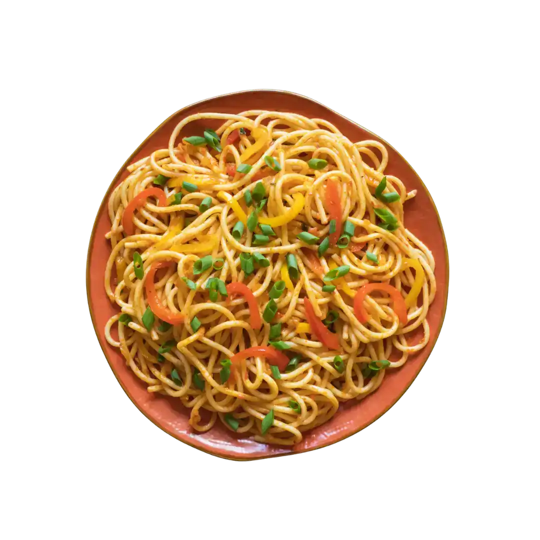Vegetarian Hakka Noodles at Bagara & Biryani