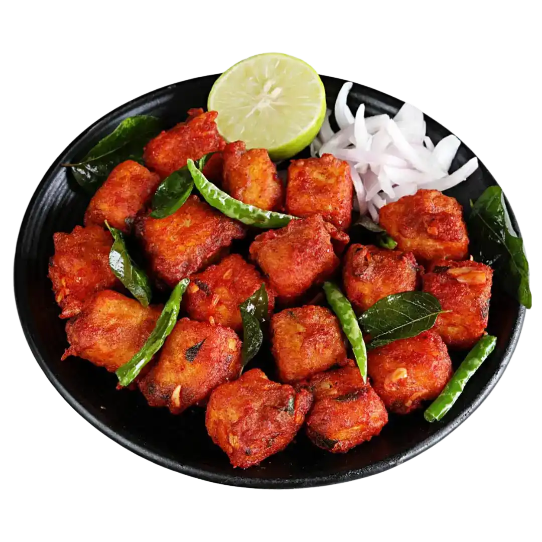 Paneer 65 at Bagara & Biryani