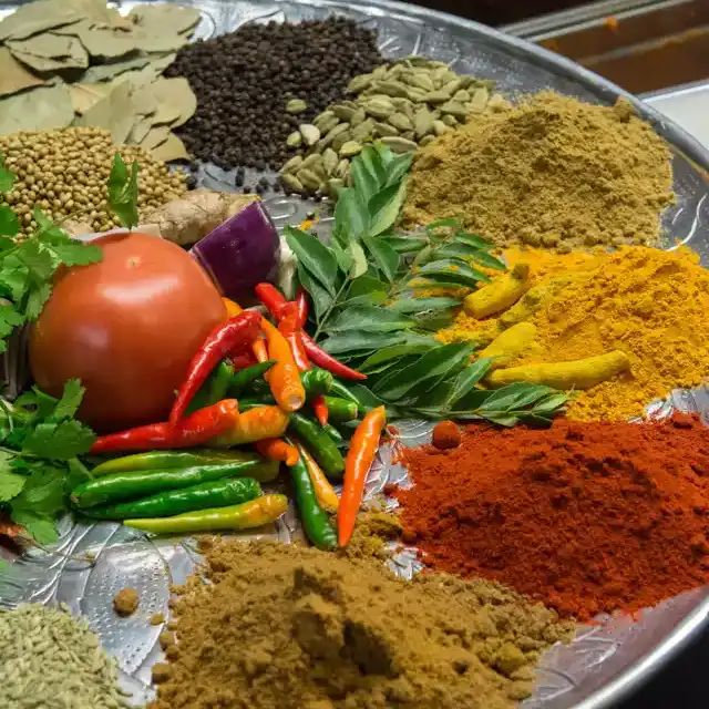 Chicken Chettinad Lunch - 16oz med or spicy only  at Tulsi